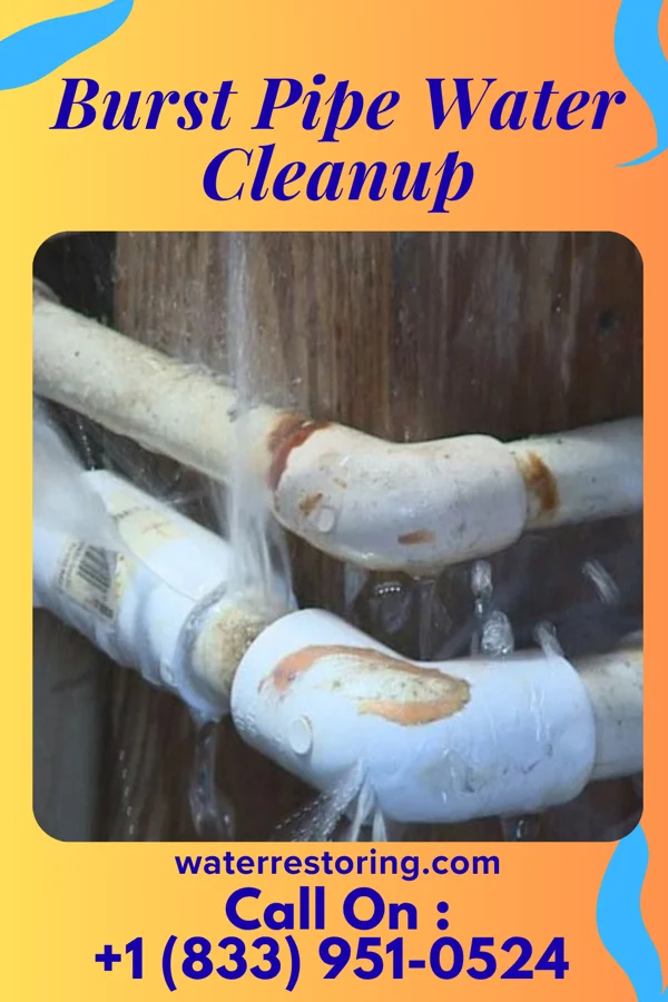 Burst Pipe Water Cleanup in Mount Carmel, TN