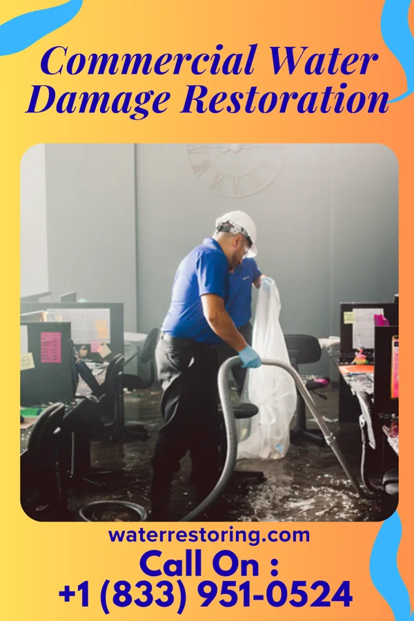 Commercial Water Damage Restoration in Mount Carmel, TN