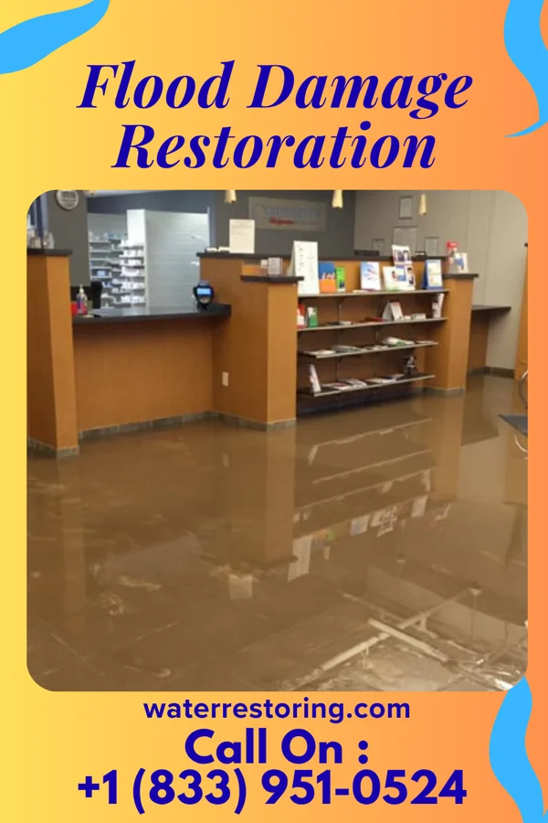 Flood Damage Restoration in Mount Carmel, TN