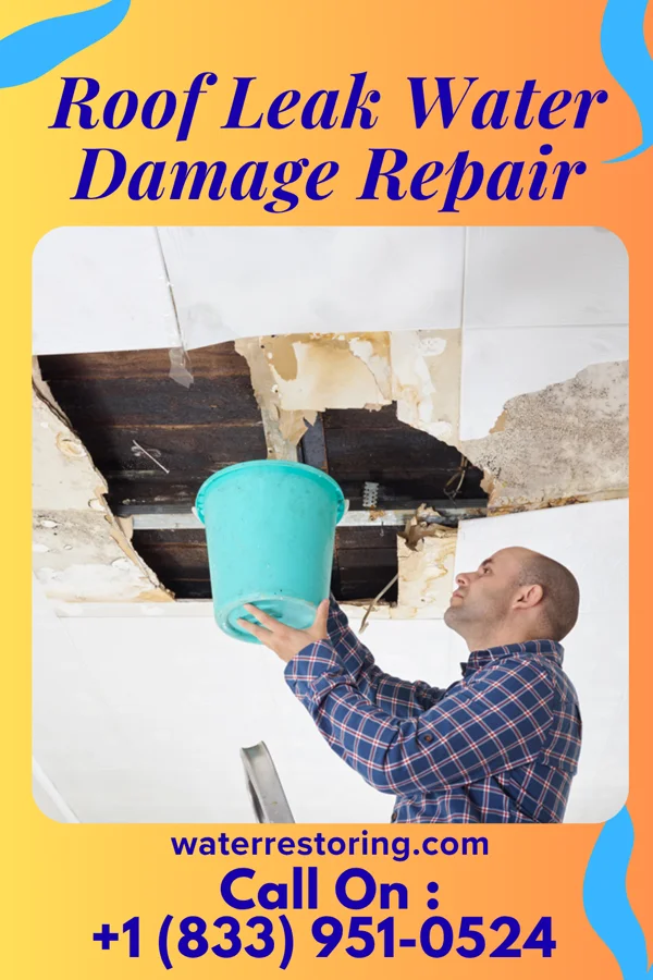 Roof Leak Water Damage Repair in Mount Carmel, TN