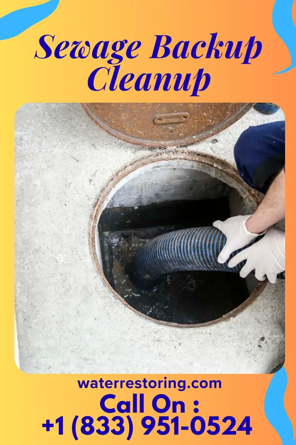Sewage Backup Cleanup in Mount Carmel, TN